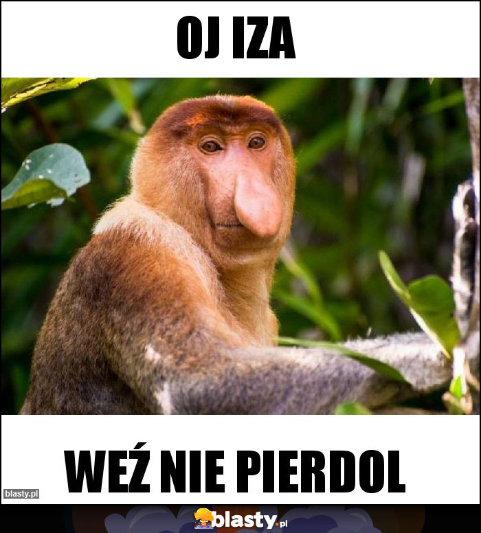 Oj Iza