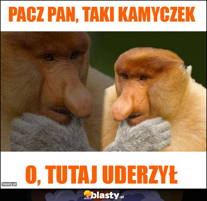Pacz pan, taki kamyczek