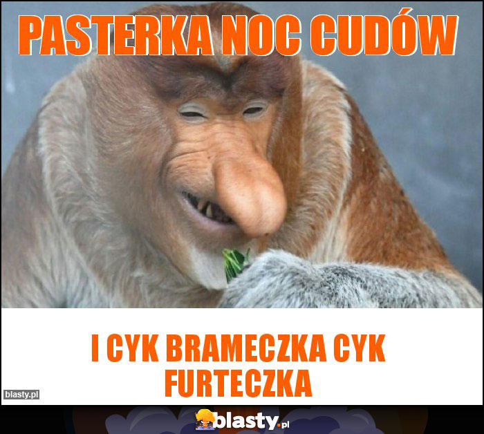 Pasterka noc cudów