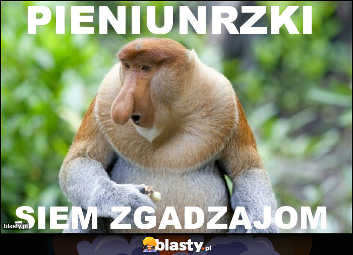 pieniunrzki
