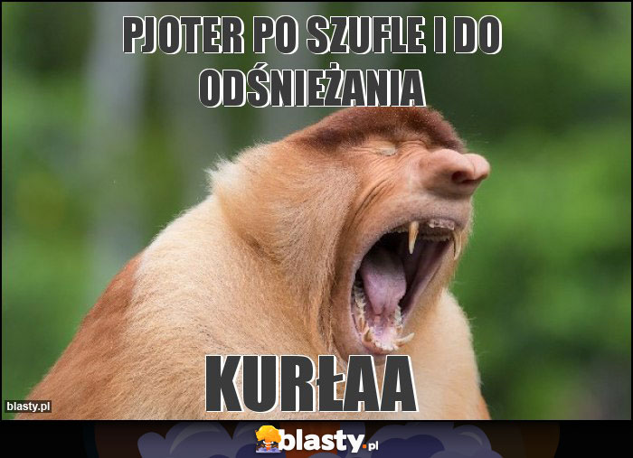 PJOTER PO SZUFLE I DO ODŚNIEŻANIA