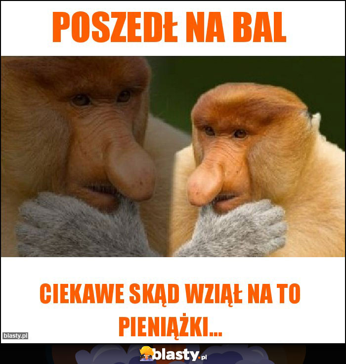 Poszedł na bal