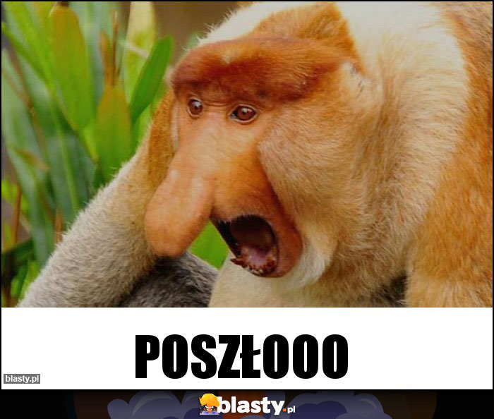 POSZŁOOO