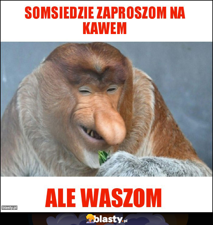 SOMSIEDZIE ZAPROSZOM NA KAWEM