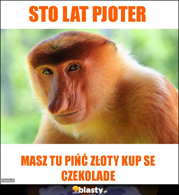 STO LAT PJOTER