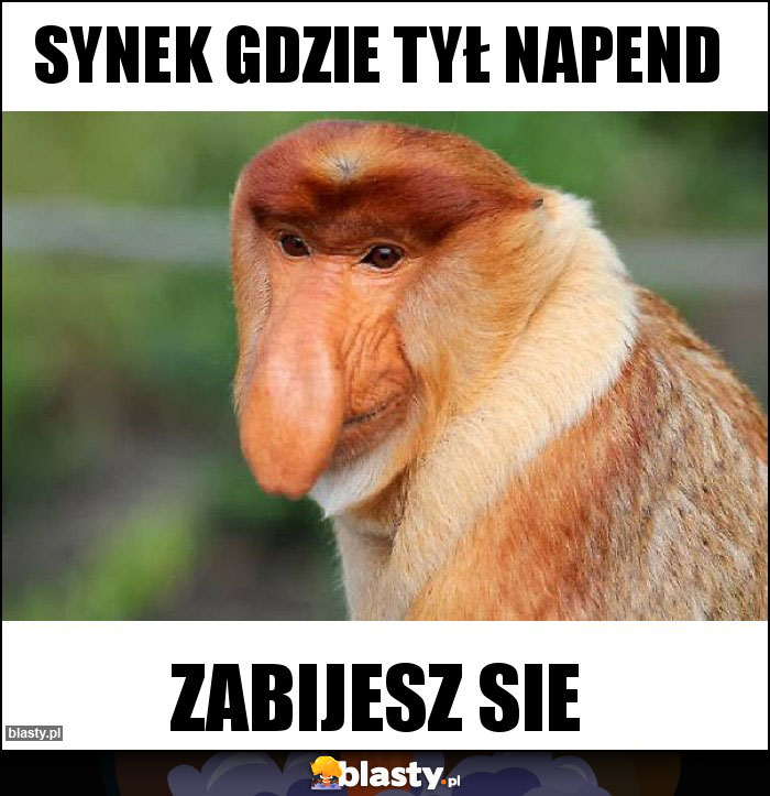 SYNEK GDZIE TYŁ NAPEND