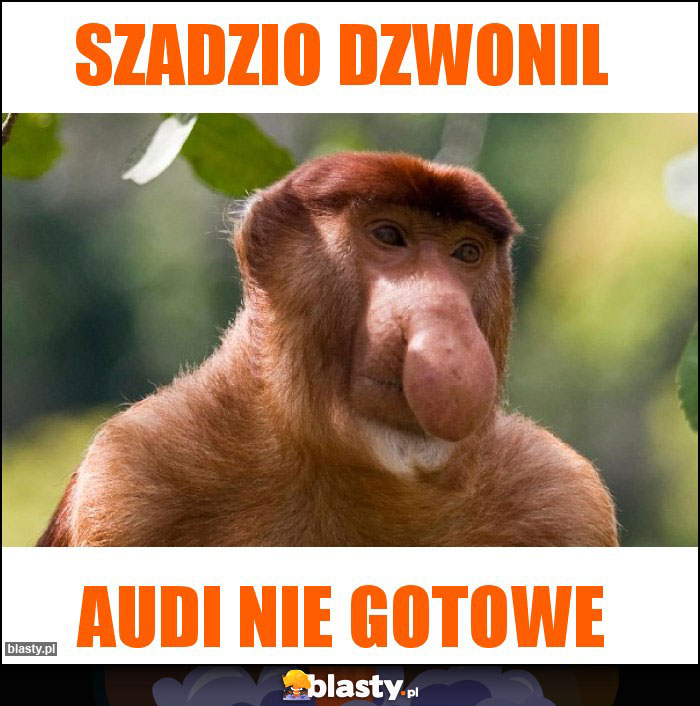Szadzio dzwonil