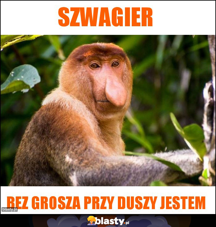 Szwagier