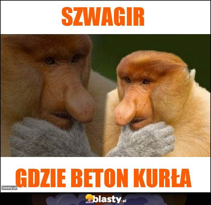 Szwagir