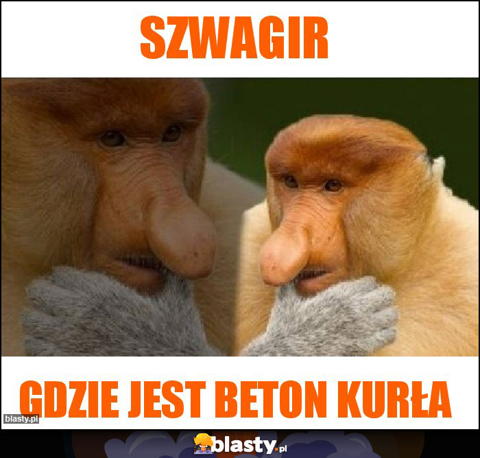 Szwagir