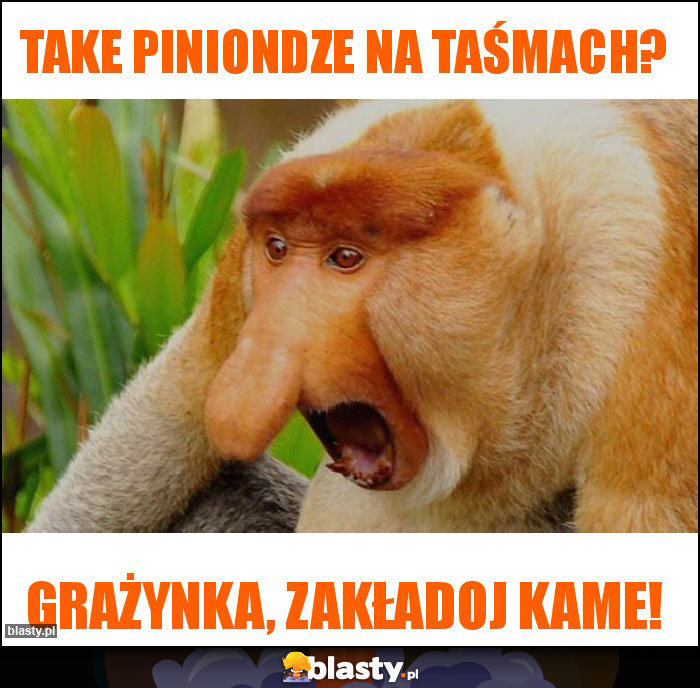 TAKE PINIONDZE NA TAŚMACH?