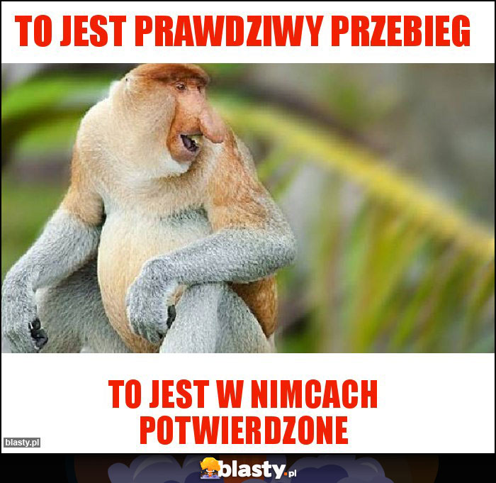 TO JEST PRAWDZIWY PRZEBIEG