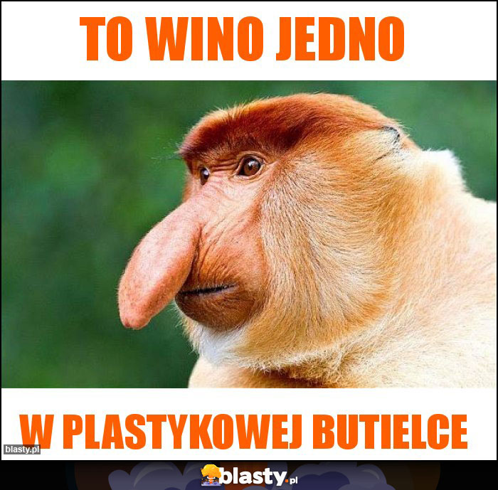 To wino jedno