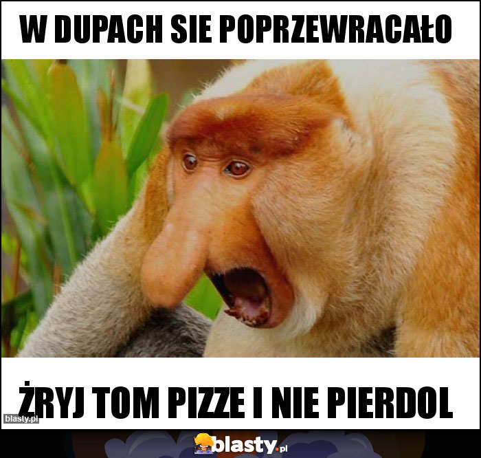 W dupach sie poprzewracało