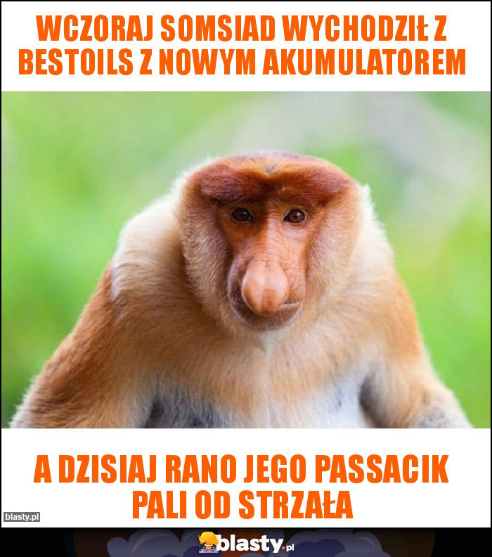 wczoraj somsiad wychodził z bestoils z nowym akumulatorem