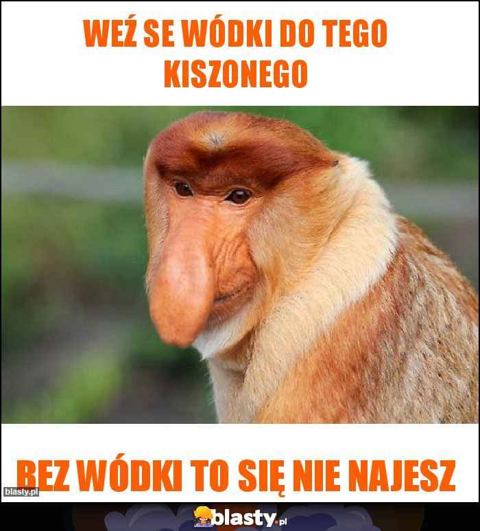 Weź se wódki do tego kiszonego