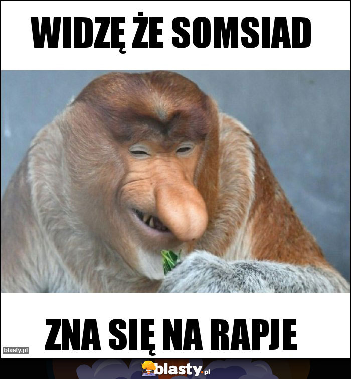 Widzę że somsiad