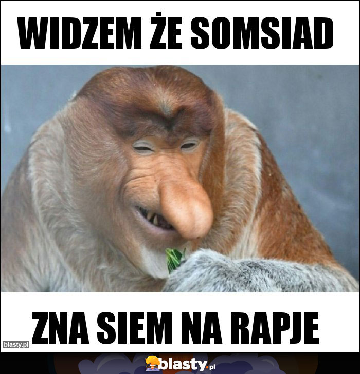 Widzem że somsiad