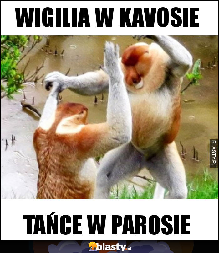 Wigilia w kavosie
