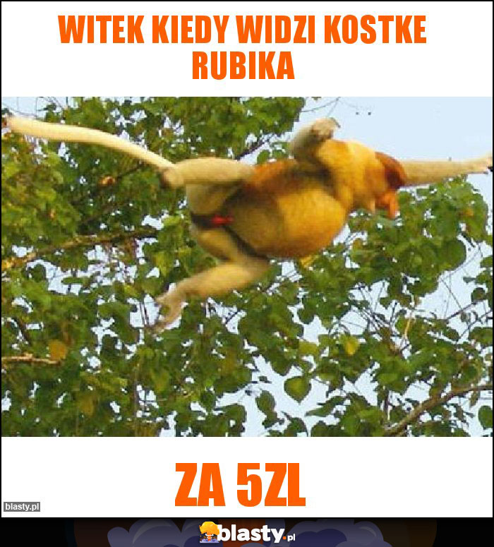 Witek kiedy widzi kostke rubika
