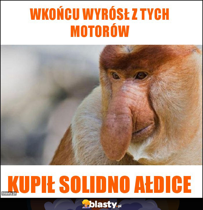 Wkońcu wyrósł z tych motorów