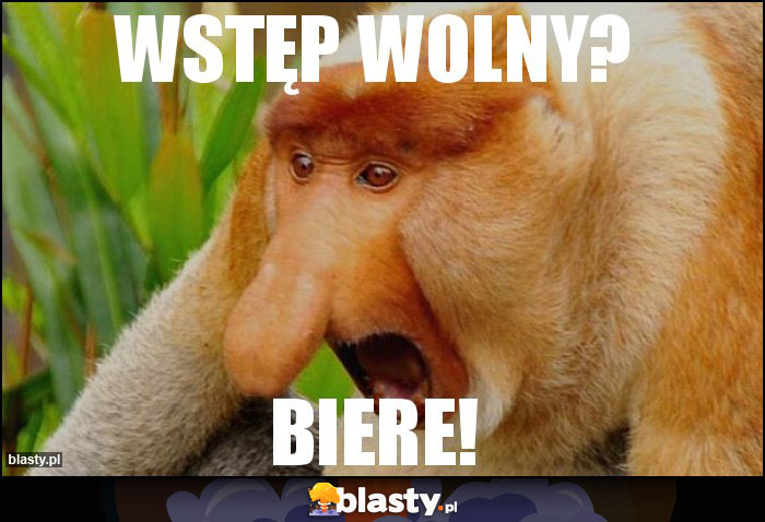 WSTĘP WOLNY?