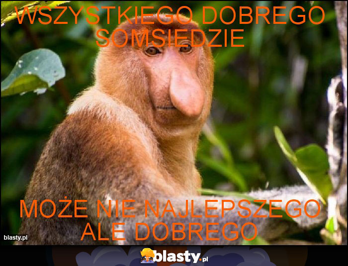 WSZYSTKIEGO DOBREGO SOMSIEDZIE