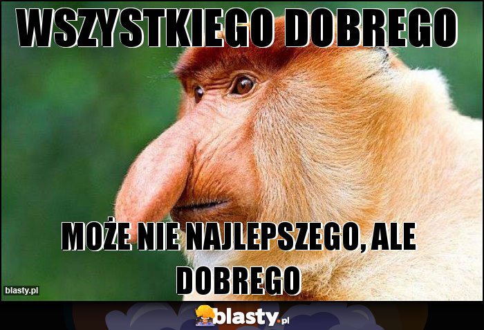 WSZYSTKIEGO DOBREGO