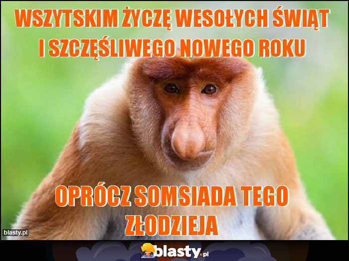 wszytskim życzę wesołych świąt i szczęśliwego nowego roku