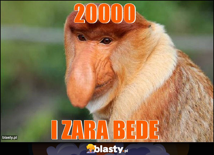 20000