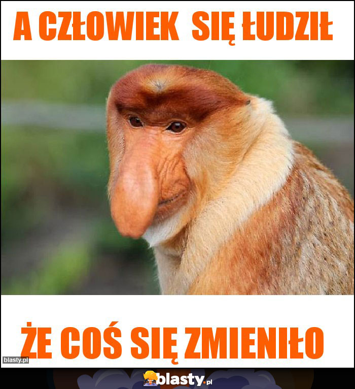 A człowiek  się łudził