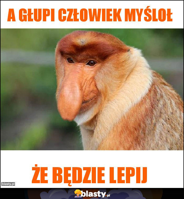 A głupi człowiek myśloł
