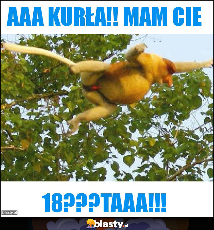 Aaa KURŁA!! Mam cie