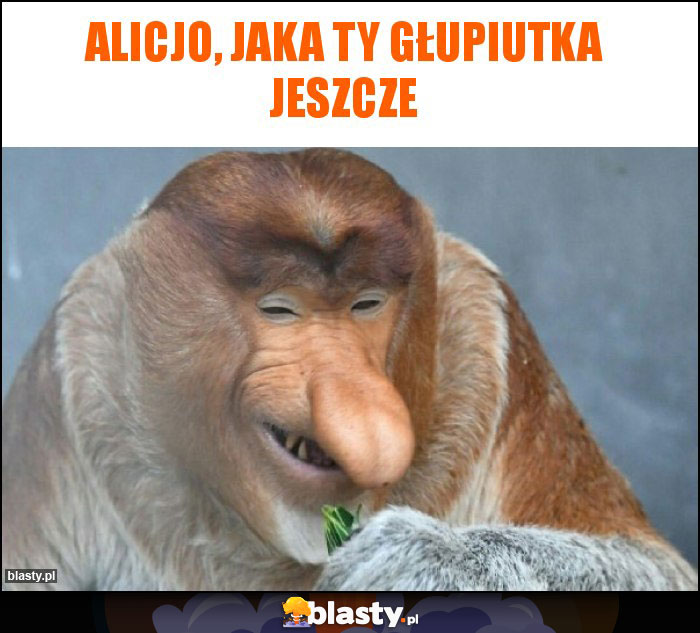 alicjo, jaka ty głupiutka jeszcze