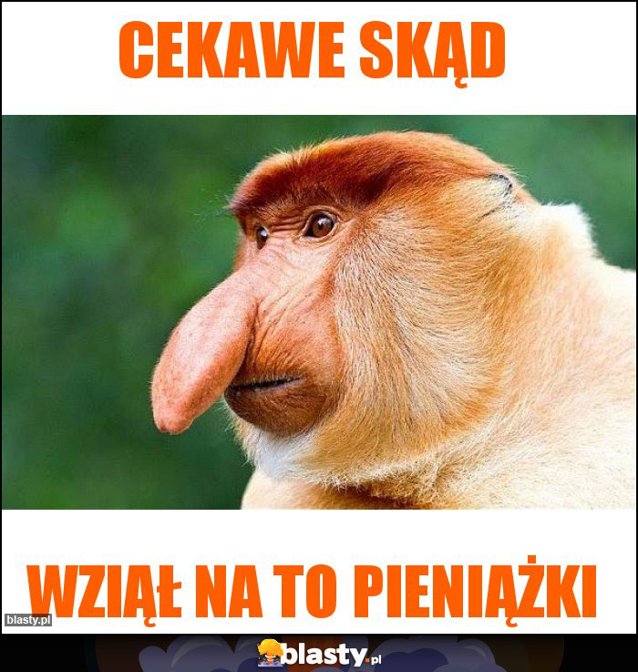 CEKAWE SKĄD