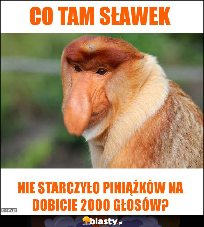 Co tam Sławek