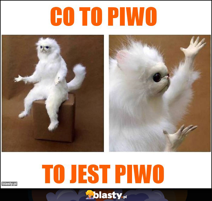 co to piwo