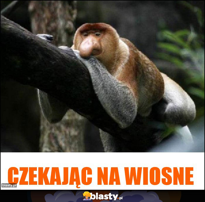 Czekając na Wiosne