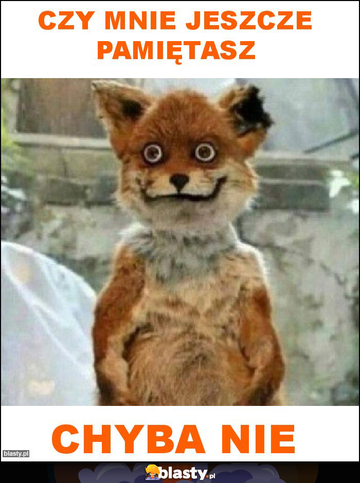 czy mnie jeszcze pamiętasz