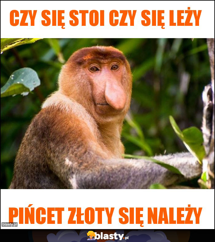 CZY się stoi czy się leży