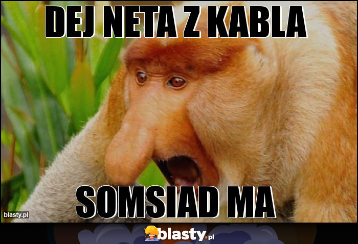dej neta z kabla