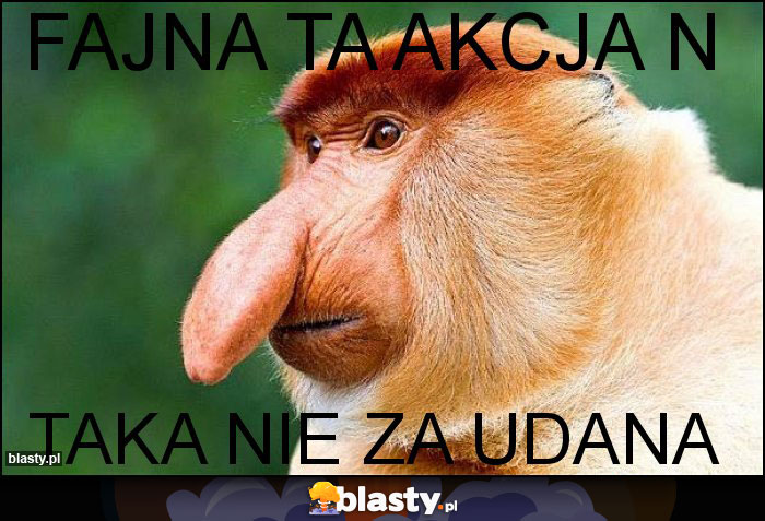 fajna ta akcja N