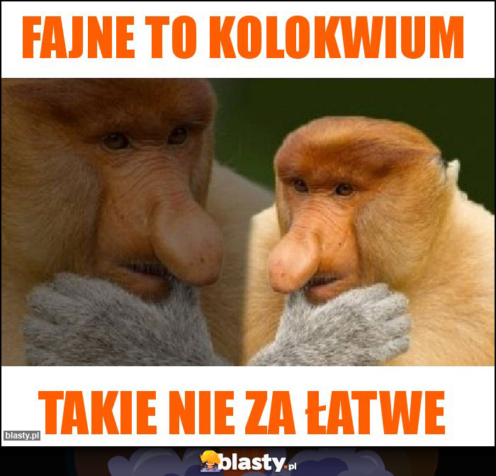Fajne to kolokwium