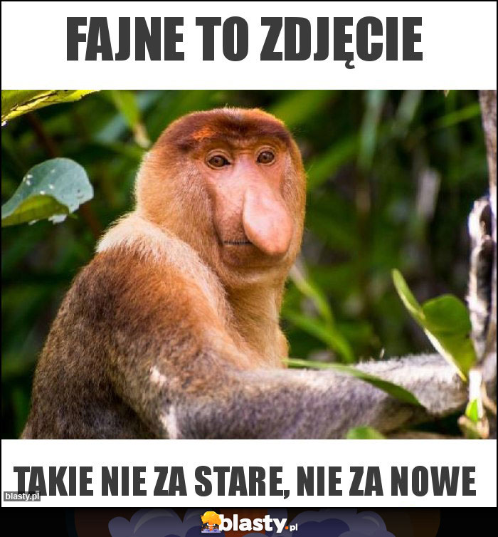 Fajne to zdjęcie