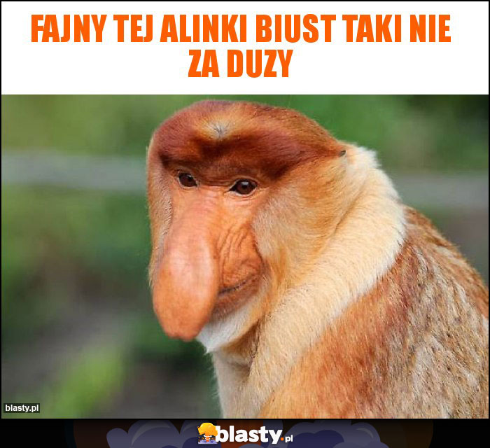 Fajny tej Alinki biust taki nie za duzy