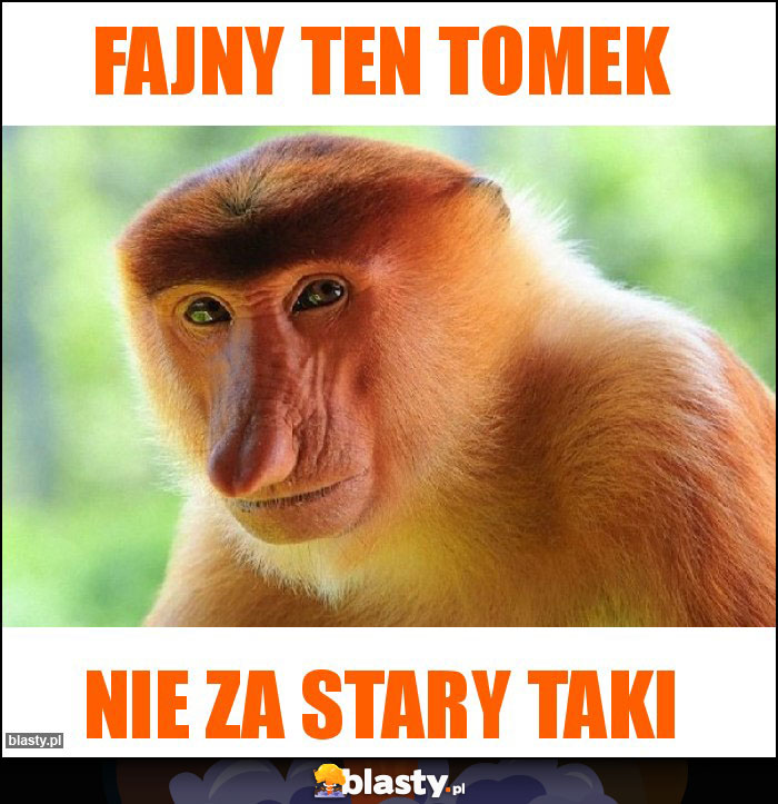 Fajny ten tomek