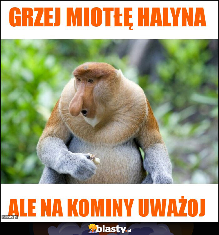 Grzej miotłę Halyna