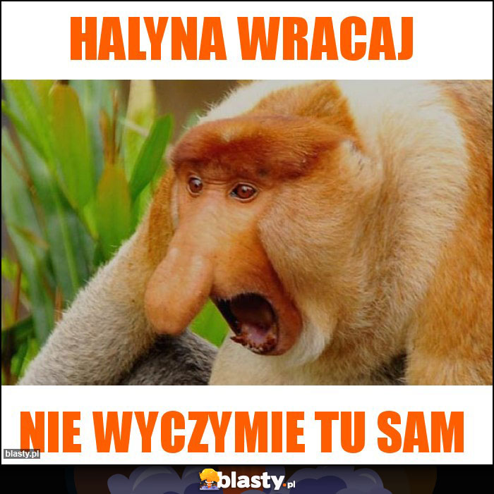 Halyna wracaj