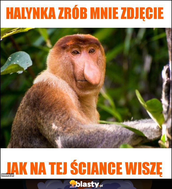 Halynka zrób mnie zdjęcie