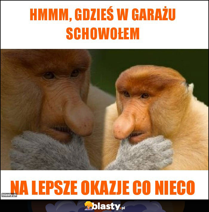 Hmmm, gdzieś w garażu schowołem